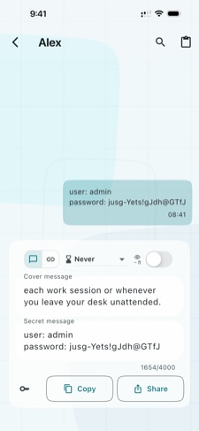 A mensagem também fica no Layergram