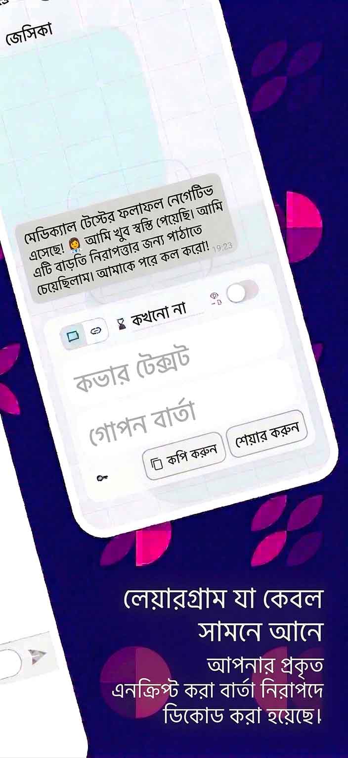 Layergram decoded message revealed