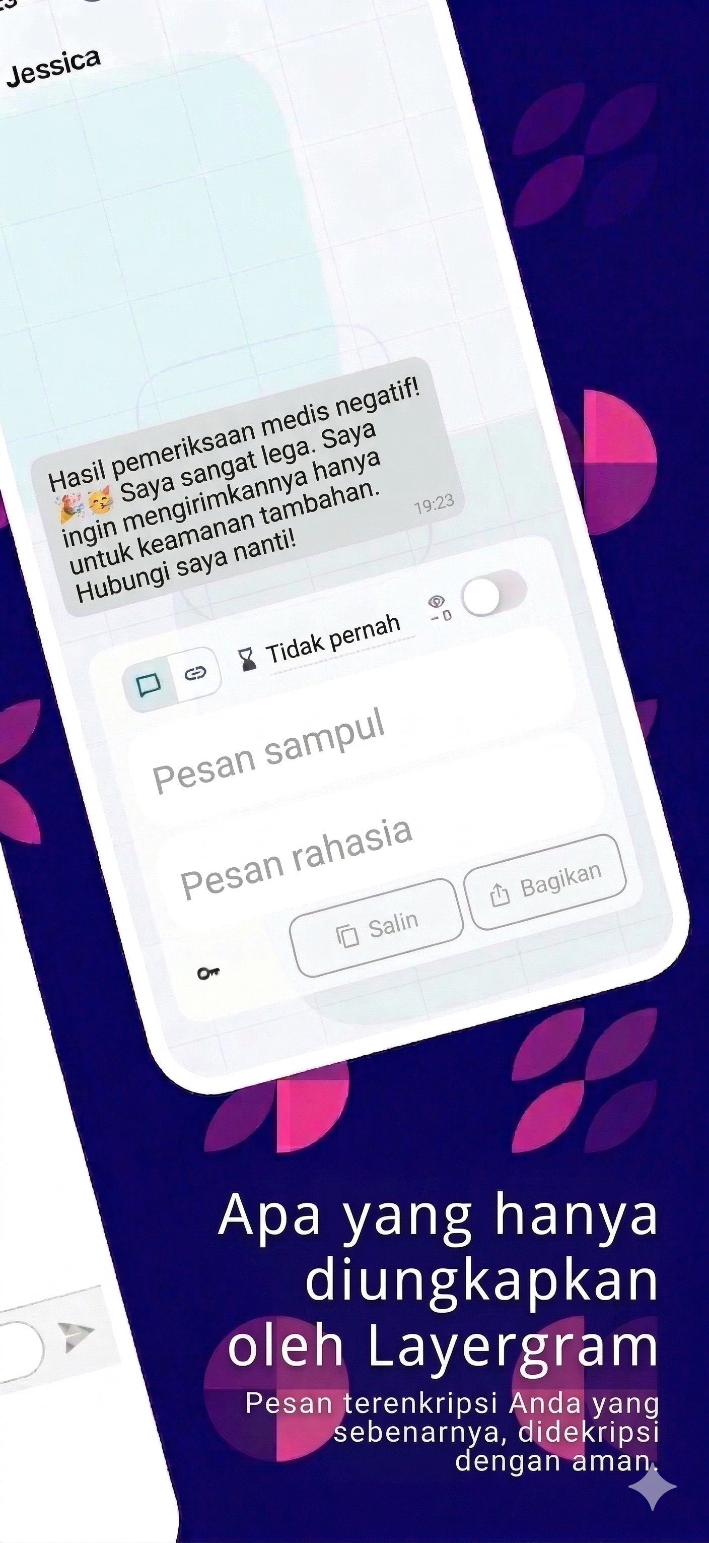 Layergram decoded message revealed